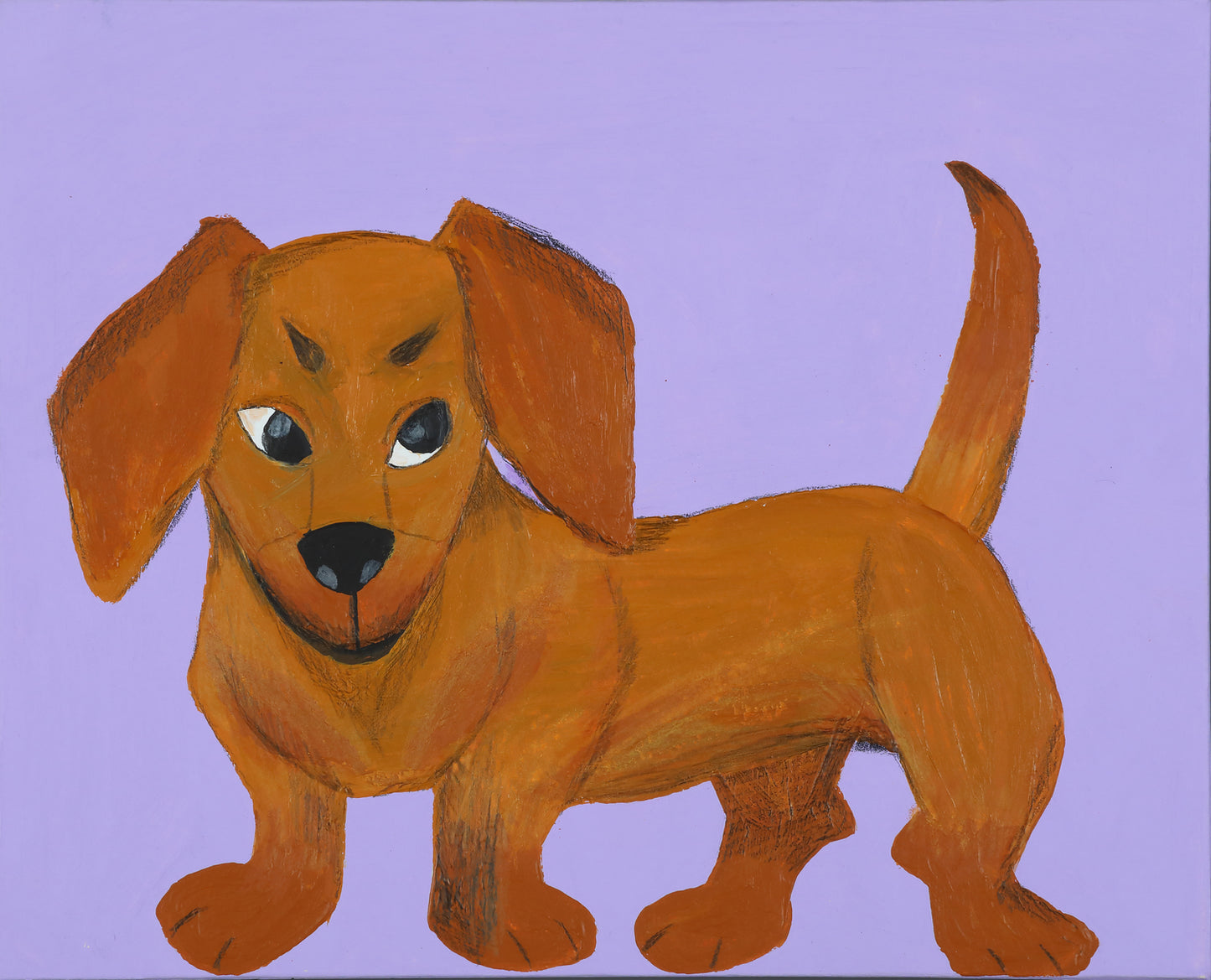 A dog that stares intently