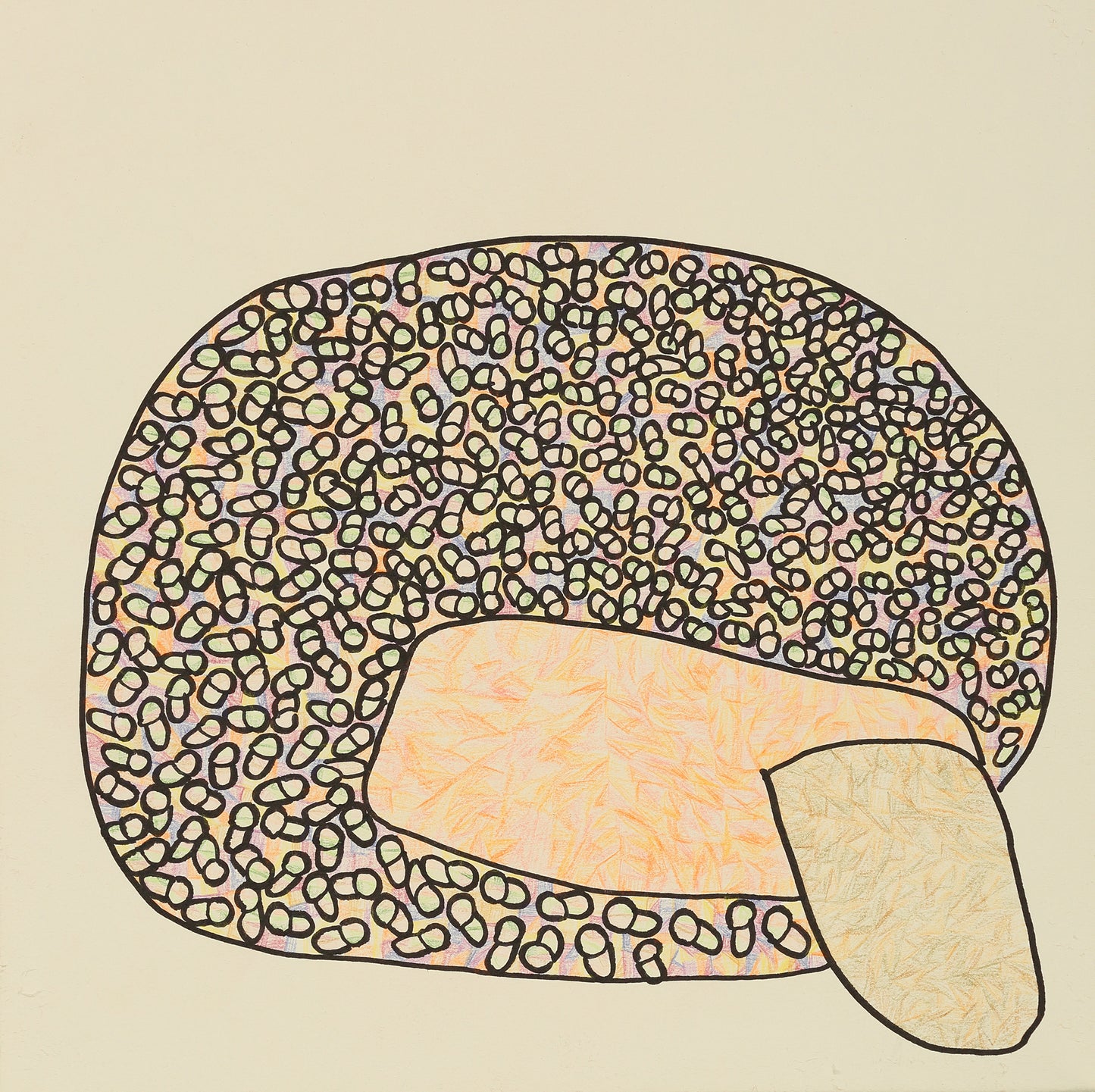 Shiitake mushroom bright