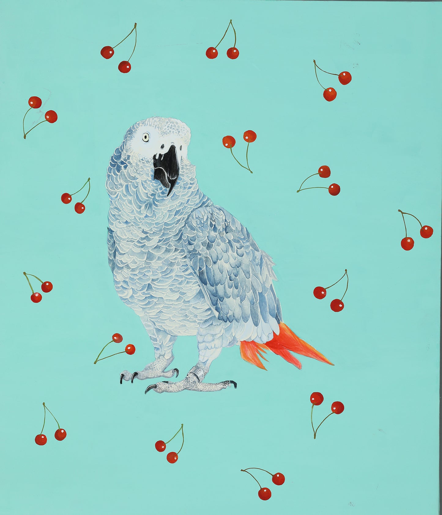 ヨウムのCherry