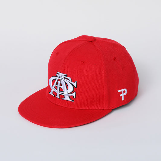 &lt;Limited Time Offer&gt; Panther Karen Cap